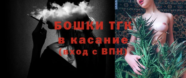 стаф Богородск