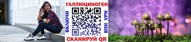 Галлюциногенные грибы MAGIC MUSHROOMS  хочу   Гудермес 