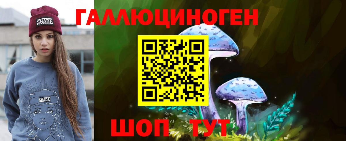 Псилоцибиновые грибы Psilocybe  Вход с VPN  Гудермес 